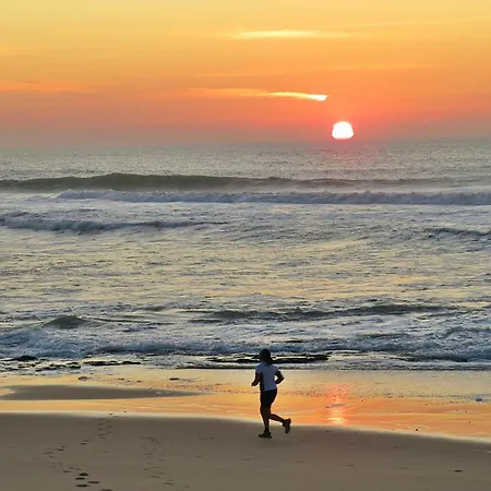 Сasa de vacaciones The Lookout